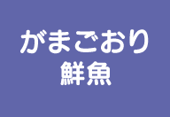 三河湾のさかな