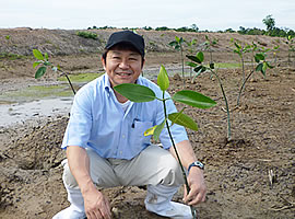 植樹のようす