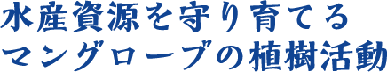 水産資源を守り育てるマングローブの植樹活動